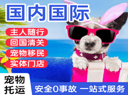 泉州晋江机场快递国际宠物托运 【国